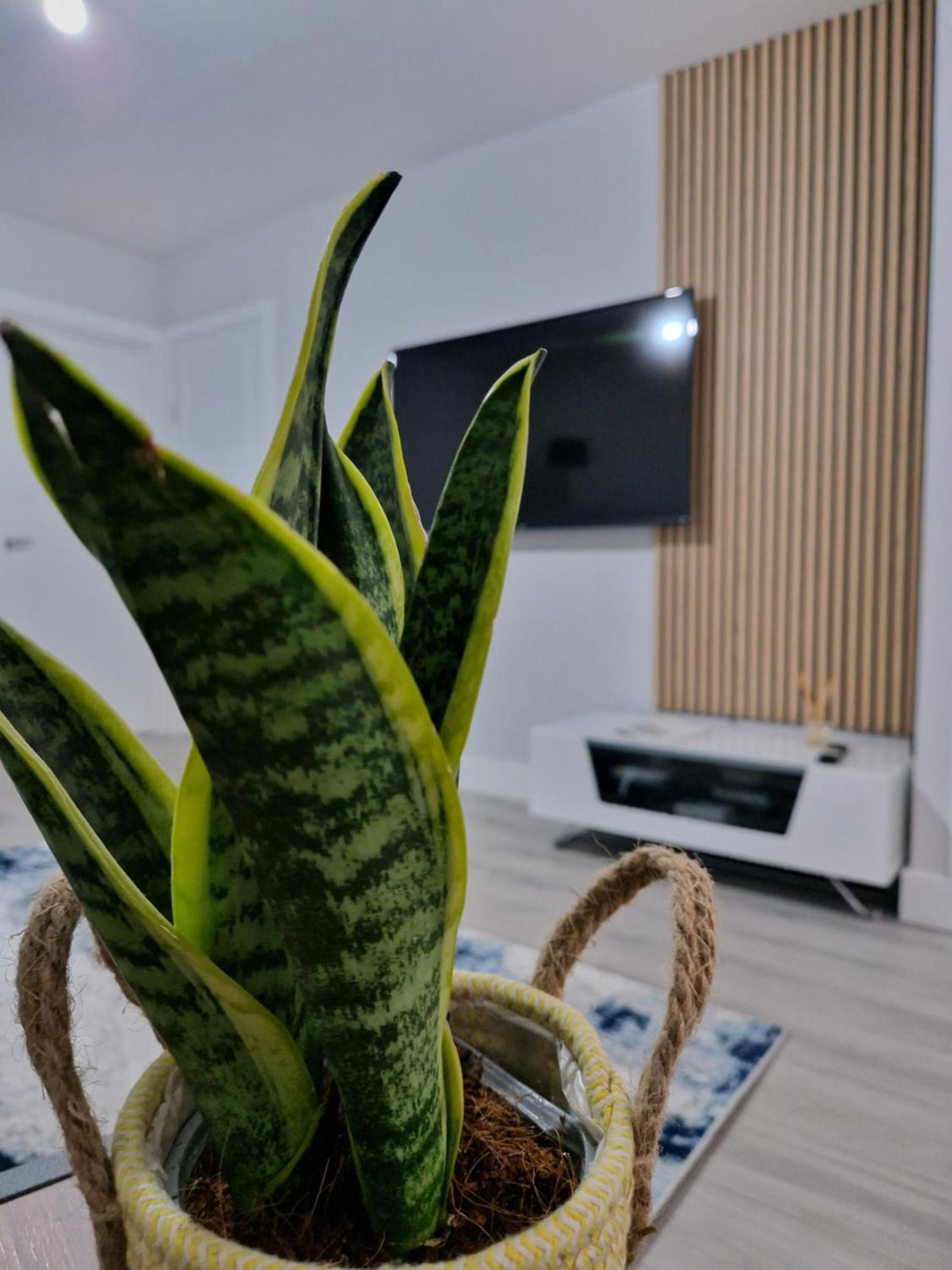 לונדון Stylish 2 Bed Home- Short Walk To Tottenham Stadium/Stations מראה חיצוני תמונה